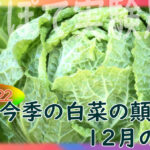 Thumbnail of new posts 046